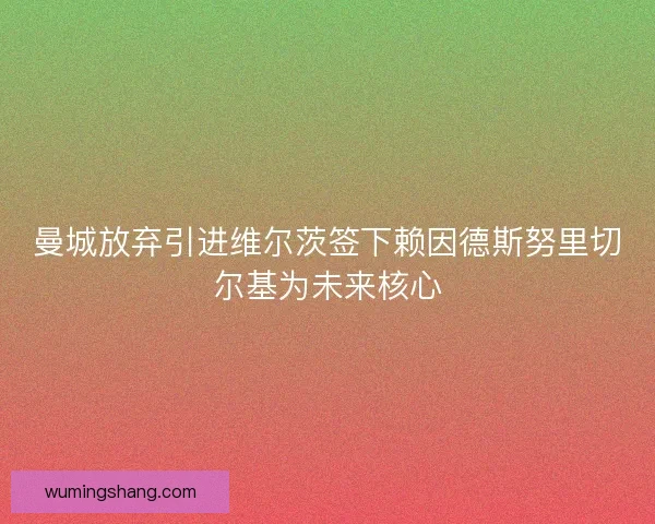 曼城放弃引进维尔茨签下赖因德斯努里切尔基为未来核心