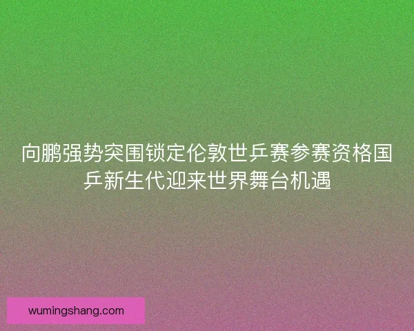 向鹏强势突围锁定伦敦世乒赛参赛资格国乒新生代迎来世界舞台机遇
